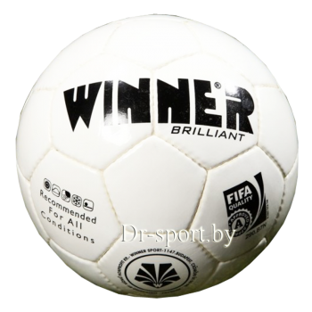 Мяч футбольный Winner Brilliant/Fifa №5